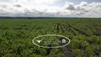 Foto 6 de Fazenda/Sítio à venda em Zona Rural, Canabrava do Norte