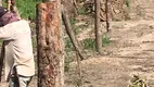 Foto 5 de Fazenda/Sítio à venda, 2000m² em Ponta Negra, Natal