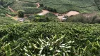 Foto 9 de Fazenda/Sítio à venda, 35000m² em , Manhumirim