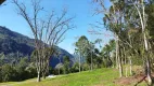 Foto 10 de Fazenda/Sítio à venda, 20000m² em , Nova Petrópolis