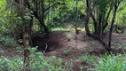 Foto 8 de Fazenda/Sítio com 1 Quarto à venda, 4550m² em Artulandia, Jaraguá