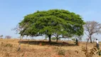 Foto 30 de Lote/Terreno à venda, 20000m² em Zona Rural, Cordisburgo