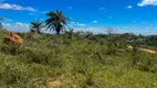 Foto 7 de Lote/Terreno à venda, 20000m² em Zona Rural, Paraopeba