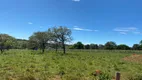 Foto 16 de Lote/Terreno à venda, 20000m² em Zona Rural, Santana de Pirapama