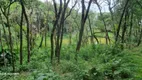 Foto 6 de Fazenda/Sítio com 2 Quartos à venda, 110m² em Campo Largo da Roseira, São José dos Pinhais
