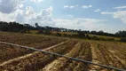 Foto 8 de Fazenda/Sítio à venda, 193m² em Zona Rural, Elias Fausto