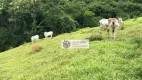 Foto 12 de Fazenda/Sítio à venda, 169400m² em Zona Rural, São Luiz do Paraitinga