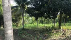 Foto 12 de Fazenda/Sítio à venda, 6000m² em Alto do Céu, Igarassu