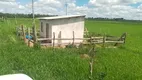 Foto 8 de Fazenda/Sítio à venda, 86956m² em Ibiapora, Mundo Novo