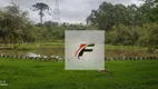 Foto 20 de Fazenda/Sítio com 7 Quartos à venda, 600m² em Umbara, Curitiba
