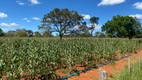 Foto 16 de Lote/Terreno à venda, 20000m² em Zona Rural, Santana de Pirapama