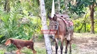 Foto 27 de Fazenda/Sítio à venda, 532400m² em Centro, Goiás