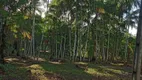 Foto 5 de Lote/Terreno à venda, 4000m² em Caraparu, Santa Isabel do Pará