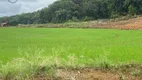 Foto 6 de Fazenda/Sítio com 4 Quartos à venda, 200m² em Centro, Massaranduba