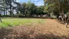 Foto 4 de Lote/Terreno à venda, 2450m² em Jardim de Itapoan, Paulínia