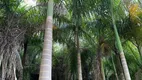Foto 6 de Fazenda/Sítio à venda, 63442m² em Parque Flamboyant, Amparo