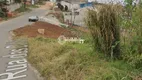 Foto 5 de Lote/Terreno à venda, 455m² em São Dimas, Colombo