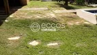 Foto 10 de Fazenda/Sítio com 4 Quartos à venda, 5000m² em Chácaras Eldorado, Uberlândia