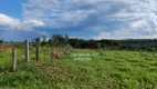 Foto 17 de Fazenda/Sítio com 3 Quartos à venda, 60000m² em Centro, Abadiânia