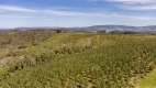 Foto 15 de Fazenda/Sítio com 3 Quartos à venda, 200m² em Tres Corregos, Campo Largo