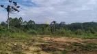 Foto 5 de Lote/Terreno à venda, 246000m² em , Campina Grande do Sul