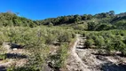 Foto 7 de Fazenda/Sítio com 2 Quartos à venda, 24000m² em Zona Rural, Jacutinga