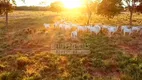 Foto 25 de Fazenda/Sítio à venda, 999999999m² em Zona Rural, Cocalinho