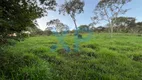 Foto 33 de Fazenda/Sítio com 2 Quartos à venda, 60m² em Zona Rural, São Sebastião do Oeste