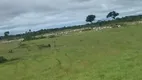 Foto 6 de Fazenda/Sítio à venda em Carumbé, Cuiabá