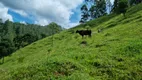 Foto 24 de Lote/Terreno à venda, 20000m² em São Francisco Xavier, São José dos Campos