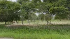 Foto 5 de Fazenda/Sítio com 3 Quartos à venda, 1000000m² em , Beberibe