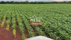 Foto 17 de Fazenda/Sítio à venda, 2444m² em Zona Rural, Santa Maria do Tocantins