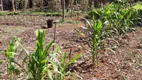 Foto 17 de Fazenda/Sítio com 3 Quartos à venda, 300m² em Centro, Aracoiaba da Serra