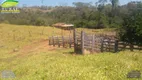 Foto 11 de Fazenda/Sítio com 3 Quartos à venda, 12342000m² em Zona Rural, Goiás