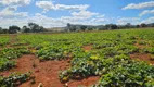 Foto 11 de Fazenda/Sítio com 3 Quartos à venda, 90m² em , Bela Vista de Goiás