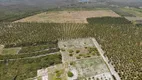 Foto 3 de Fazenda/Sítio com 2 Quartos à venda, 8000000m² em Morro Branco, Beberibe