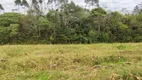 Foto 15 de Lote/Terreno à venda, 5000m² em Vila Delurdes, Campo Largo