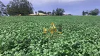 Foto 7 de Fazenda/Sítio à venda, 200m² em Zona Rural, Chapadão do Céu