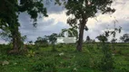 Foto 22 de Fazenda/Sítio à venda, 3000m² em Zona Rural, Fortuna de Minas