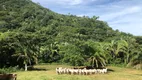Foto 3 de Fazenda/Sítio à venda em Zona Rural, Rosário Oeste