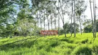 Foto 5 de Fazenda/Sítio à venda, 363000m² em Centro, Hidrolândia