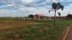 Foto 3 de Lote/Terreno à venda, 400m² em , Iguaraçu