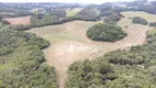 Foto 17 de Lote/Terreno à venda, 72600m² em JARDIM CECILIA, Campo Magro