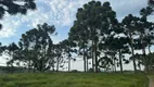 Foto 17 de Fazenda/Sítio à venda, 146000m² em , Rio Rufino