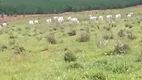 Foto 30 de Fazenda/Sítio com 3 Quartos à venda, 150m² em Rural, Cesário Lange