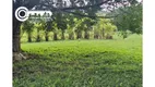 Foto 2 de Fazenda/Sítio à venda, 195100m² em Zona Rural, Pariquera-Açu