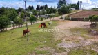 Foto 2 de Fazenda/Sítio com 3 Quartos à venda, 16000m² em Centro, Quitandinha