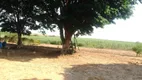 Foto 12 de Fazenda/Sítio com 2 Quartos à venda em Zona Rural, Elias Fausto