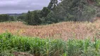 Foto 32 de Fazenda/Sítio à venda, 24000m² em Zona Rural, Mandirituba