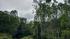 Foto 10 de Lote/Terreno à venda, 10000m² em Rio do Poncho, São Bonifácio